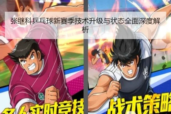 张继科乒乓球新赛季技术升级与状态全面深度解析